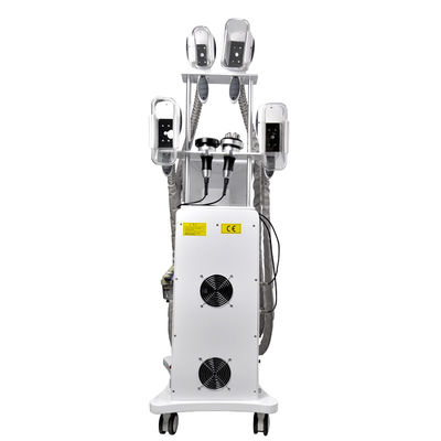 Fat Freeze Cryolipolysis Máy giảm béo 800W OEM