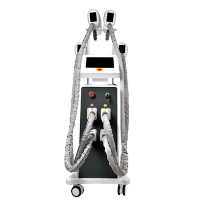 Máy giảm béo cơ thể Salon Cryolipolysis 4 Nhiệt độ đóng băng tay cầm đông lạnh