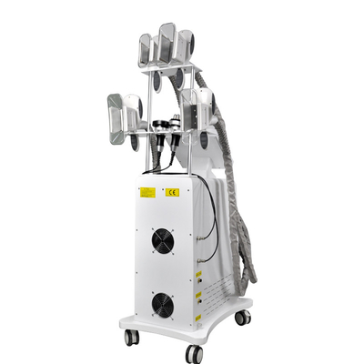 Máy giảm béo cơ thể Salon Cryolipolysis 4 Nhiệt độ đóng băng tay cầm đông lạnh