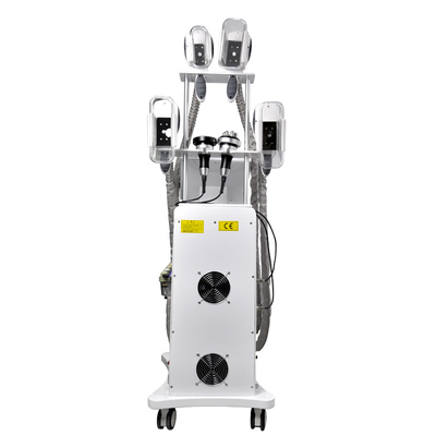Máy giảm béo cơ thể Salon Cryolipolysis 4 Nhiệt độ đóng băng tay cầm đông lạnh