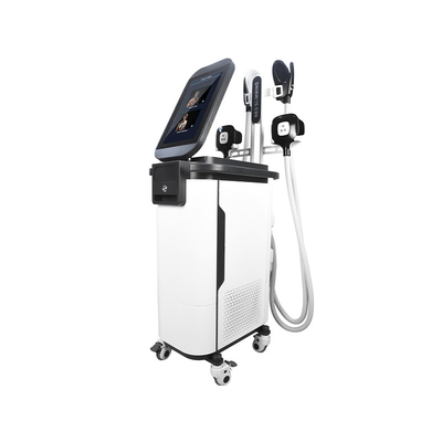 Máy điêu khắc cơ thể 2 trong 1 Ems Cryo  4 tay cầm Máy cơ bắp Estimulador