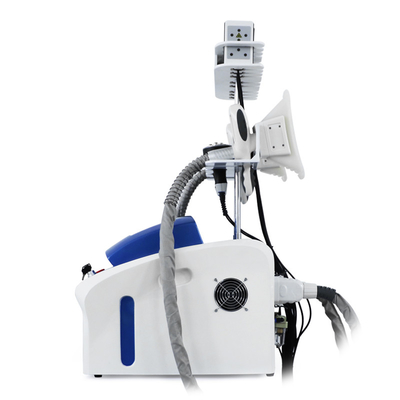 Cryolipolysis chuyên nghiệp Loại bỏ chất béo Cryo Cellulite Reduction Fat Freeze Machine Máy giảm cân cơ thể