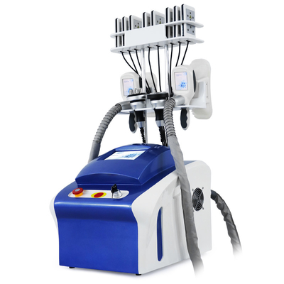 Cryolipolysis chuyên nghiệp Loại bỏ chất béo Cryo Cellulite Reduction Fat Freeze Machine Máy giảm cân cơ thể