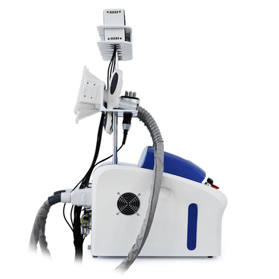 Cryolipolysis chuyên nghiệp Loại bỏ chất béo Cryo Cellulite Reduction Fat Freeze Machine Máy giảm cân cơ thể