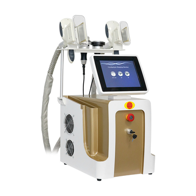Máy đông lạnh mỡ bằng cách làm lạnh mỡ để giảm cân