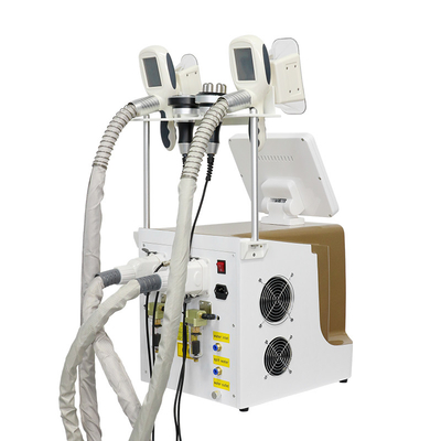 Máy đông lạnh mỡ bằng cách làm lạnh mỡ để giảm cân