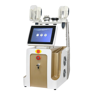 3 In1 không xâm lấn màn hình cảm ứng di động không đau với bốn tay cầm Nhà và sử dụng thương mại Máy làm đông lạnh Cryo Beauty Machine Slimming Beauty Machine