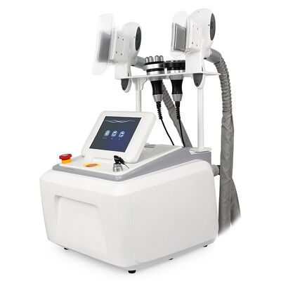 4 trong 1 Không xâm lấn Không đau di động 4 tay cầm Sử dụng tại nhà và thương mại Máy làm đẹp đông lạnh Cryo Máy làm đẹp giảm béo