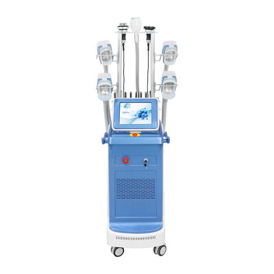 360 Máy đông lạnh chất béo Cryolipolysis xung quanh Thiết bị giảm béo đường nét cơ thể không xâm lấn Criolipolisis cho phòng khám Salon Giảm béo Loại bỏ cellulite