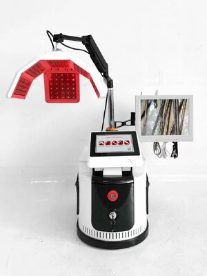 Máy tính để bàn Phát hiện da đầu Máy mọc tóc Red PDT Light Chống rụng tóc Salon Thiết bị làm đẹp